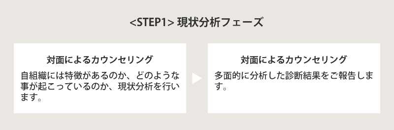 STEP1 現状分析フェーズ